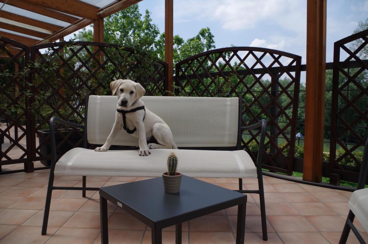 Best Quality Hotel La Darsena Μονκαλιέρι Εξωτερικό φωτογραφία